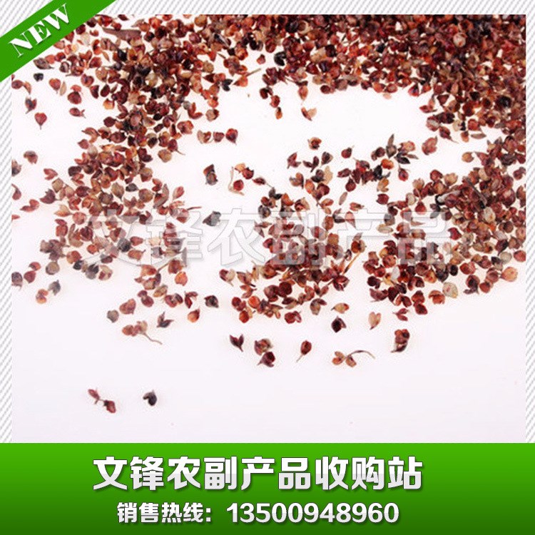 長期供應(yīng) 枕芯坐墊填充高粱殼 東北高粱殼 高粱殼批發(fā)