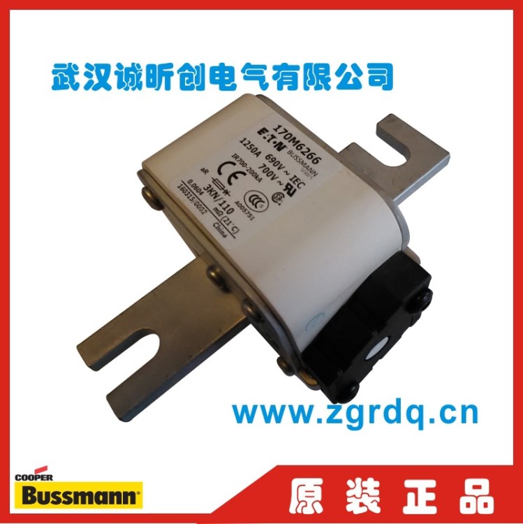代理 現貨庫存美國BUSSMANN巴斯曼博斯曼170M6260 690V 630A