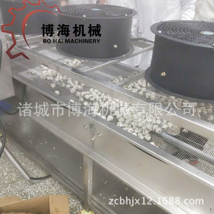 廣西北海深海魚油丸鰻魚丸馬鮫丸子加工設(shè)備 肉丸機(jī) 包芯肉丸機(jī)