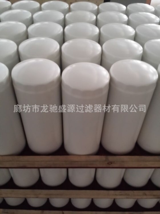 供應(yīng)FS19584燃油濾芯，型號，價格低廉，品質(zhì)優(yōu)越