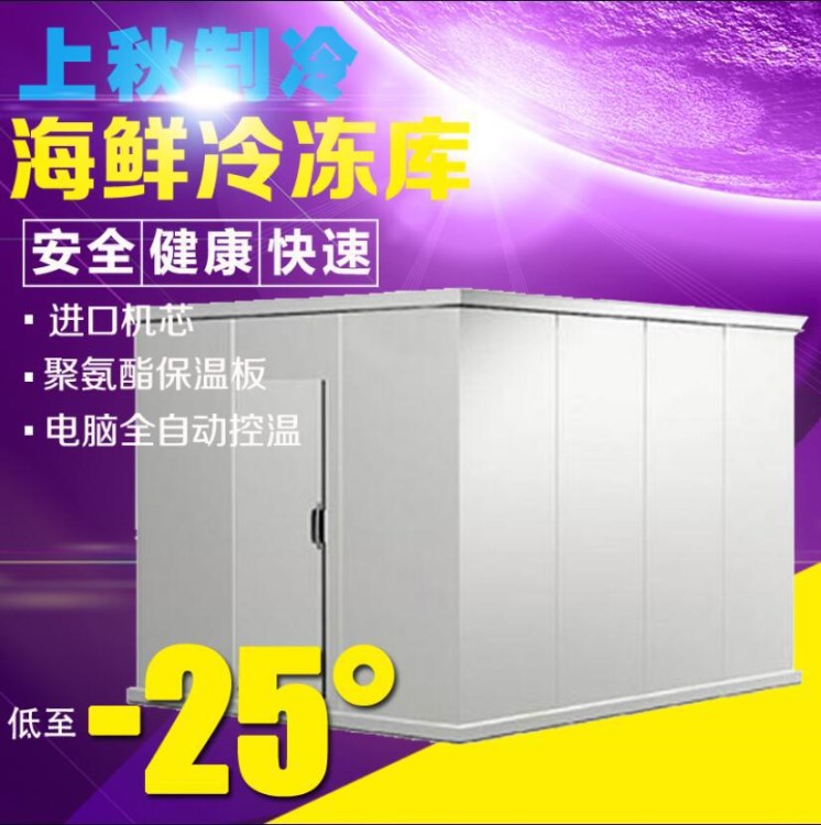 海鮮肉類速凍庫海南冷庫三亞冷庫速凍庫安裝擱架式速凍庫設(shè)計
