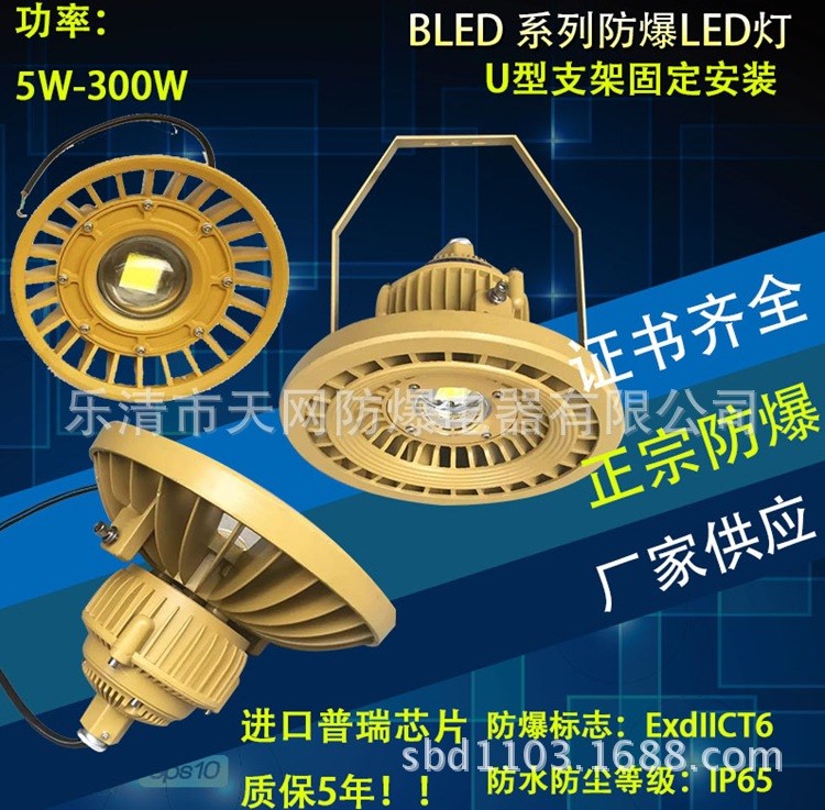 供應(yīng)10W/20W/30WLED防爆投光燈 圓形小功率led防爆燈壁燈