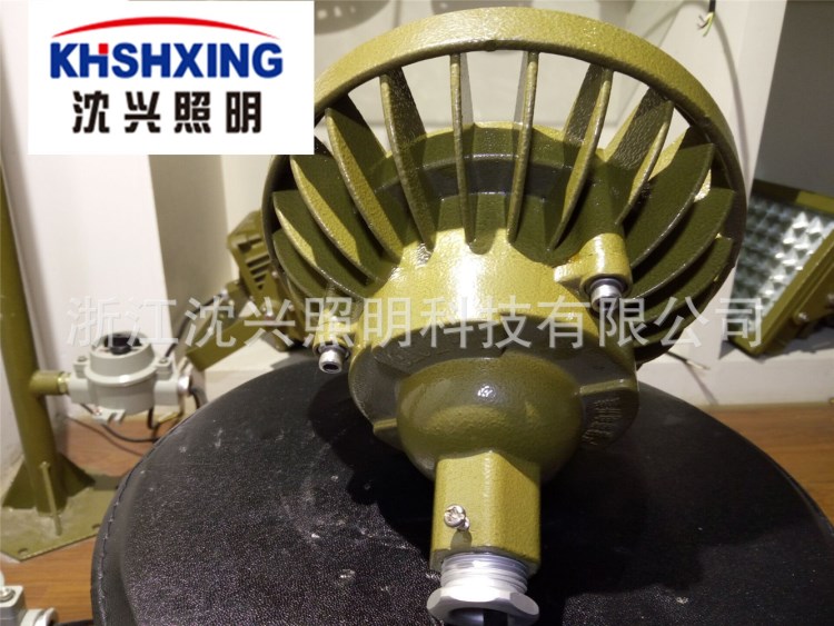 供應(yīng)10W/20W/30WLED防爆投光燈 圓形小功率led防爆燈壁燈