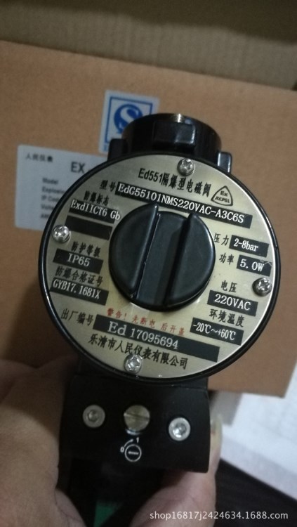 樂清市人民儀表Ed551隔爆電磁閥EdG55101NMS220VAC-A3C6S   M3BS