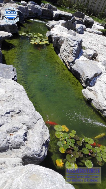 科旭達(dá)魚(yú)池水凈化器福建漳州水景水凈化水質(zhì)全套解決方案免費(fèi)設(shè)計(jì)