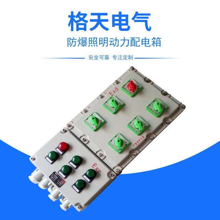 廠家直銷BDG58防爆配電箱5回路帶總開(kāi)關(guān)IIB級(jí)防爆照明動(dòng)力配電箱