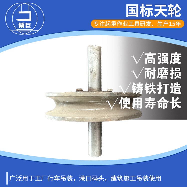 国标天轮 起重天轮 固定天轮 钢丝绳导向轮固定滑轮  厂价直销
