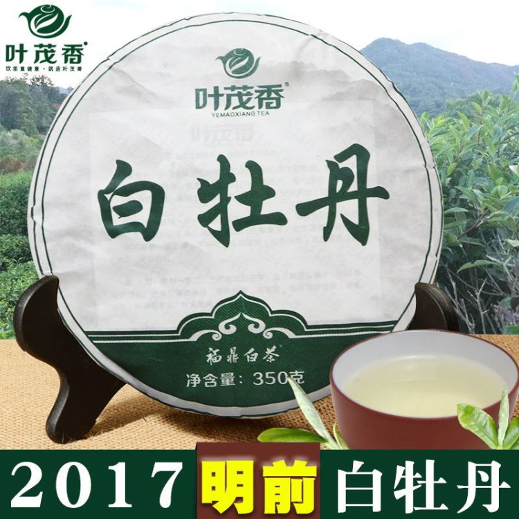 福鼎白茶白牡丹饼350g与绿茶相同茉莉花茶厂家直销批发逐年老白茶