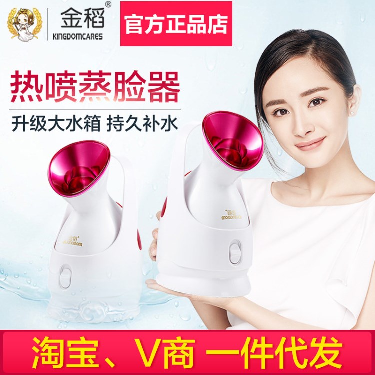 金稻熱噴蒸臉器kd-2331A納米離子噴霧補水儀家用臉部美容儀加濕器