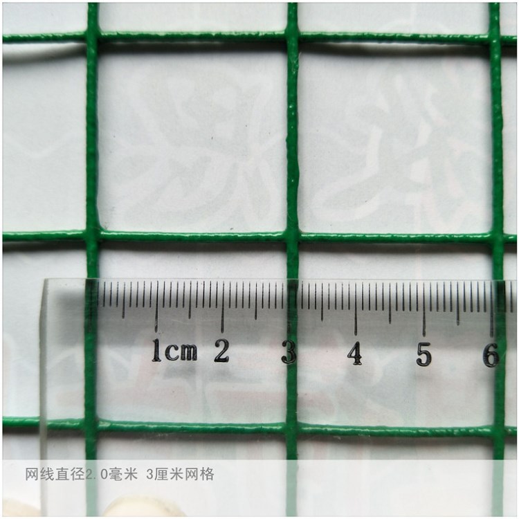 工厂直销鸡围网批发 农场合作社建设鸡围网用网 养殖棚圈地围网墙