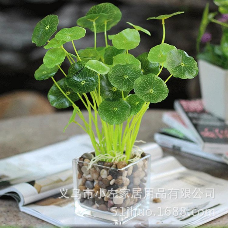 zakka仿真花假花植物客廳銅錢草小荷葉家居裝飾品綠植盆栽花藝