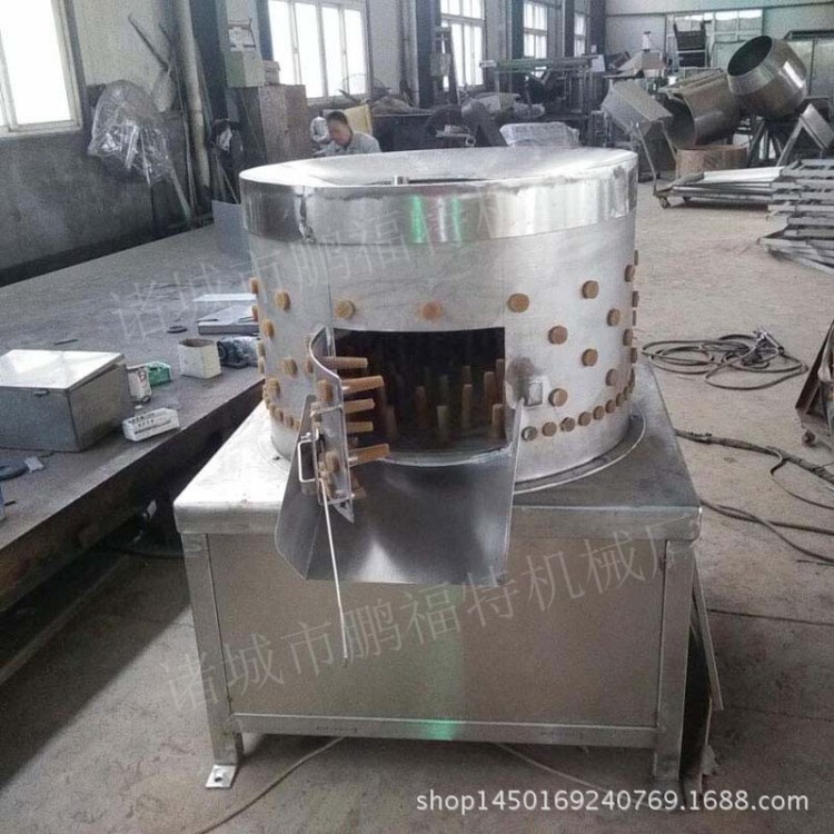 脫毛機 拋光機 清洗機 豬蹄清洗機 不銹鋼清洗機 諸城鵬福特