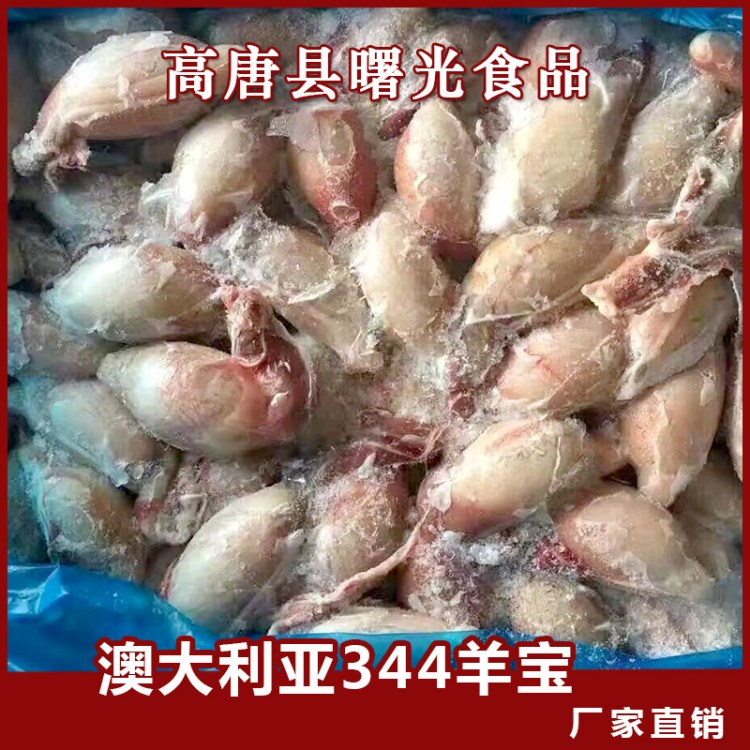 澳大利亚344山羊宝 现货批发羊肉 冷冻营养健康烧烤涮锅食材