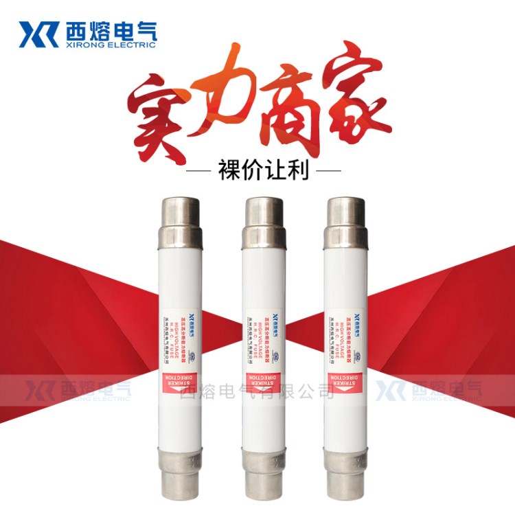 西熔電氣XRNT-35/40-100高壓限流熔斷器XRNT-35KV高壓熔斷器