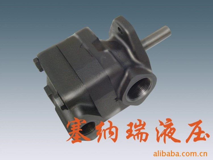 V20-1P13P-1C、葉片泵、工程機(jī)械用泵、車輛泵、行走機(jī)械用泵