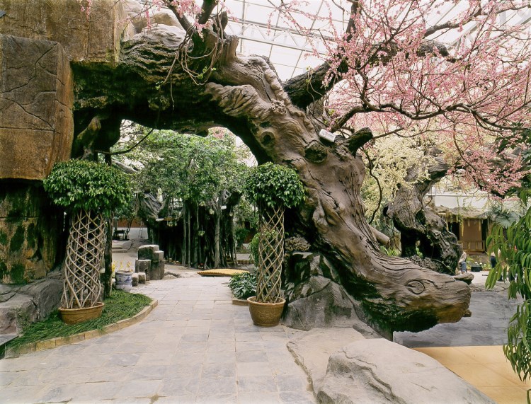 仿真樹假樹設(shè)計(jì) 水泥玻璃鋼塑料園林景觀樹木 園林景觀綠化工程