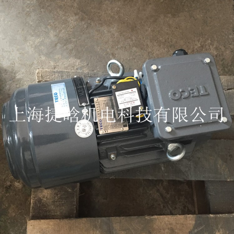 臺(tái)灣TECO東元電機(jī) AEEF/AEVF系列三相異步電動(dòng)機(jī)