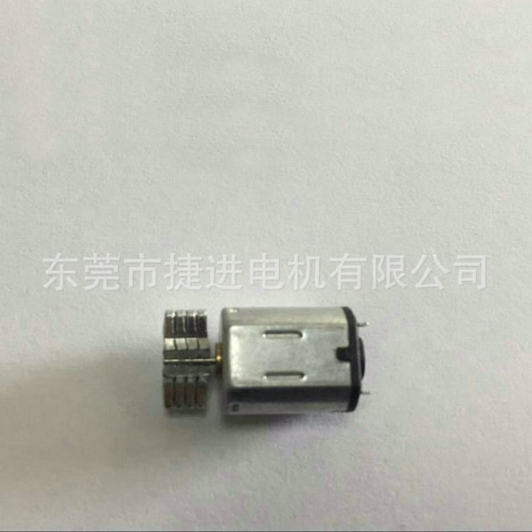 廠家供應大型振動電機 中控鎖電機 電吹風馬達