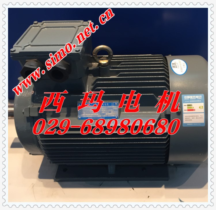 YGM2系列電機(jī) YGM2-315S-10 YGM-315M-10 55KW 西安泰富西瑪電機(jī)