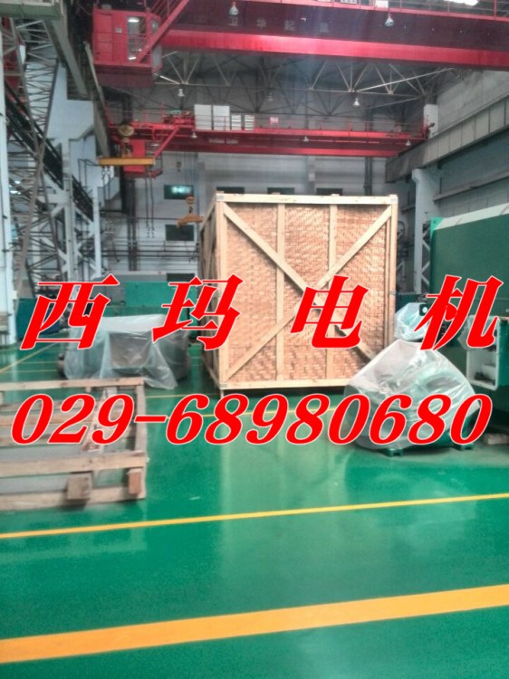 YKK6302-8 1000KW 744rpm 泰富西瑪電機引接線