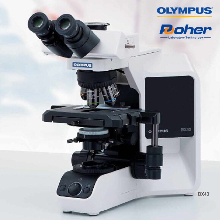 olympus奥林巴斯bx43生物显微镜