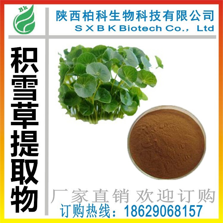 廠家直銷 積雪草提取物 10:1積雪草總苷 現(xiàn)貨直銷 積雪草苷80%