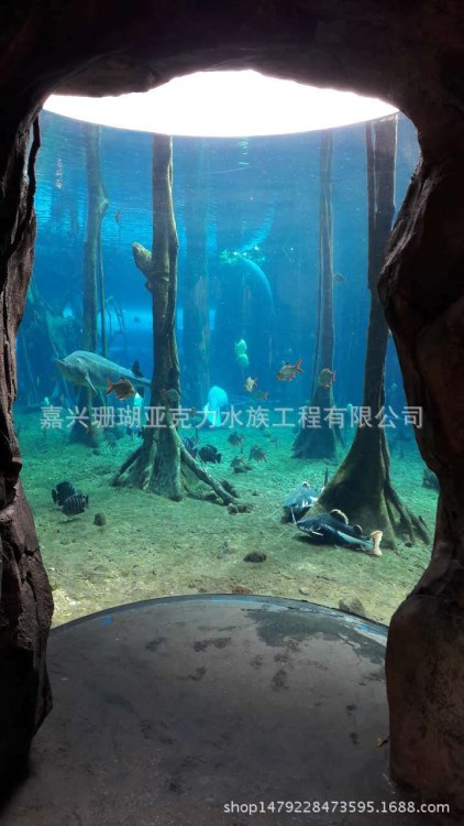 亞克力水族箱廠家批發(fā)定做直銷(xiāo) 觀賞鑲嵌型魚(yú)缸水族箱