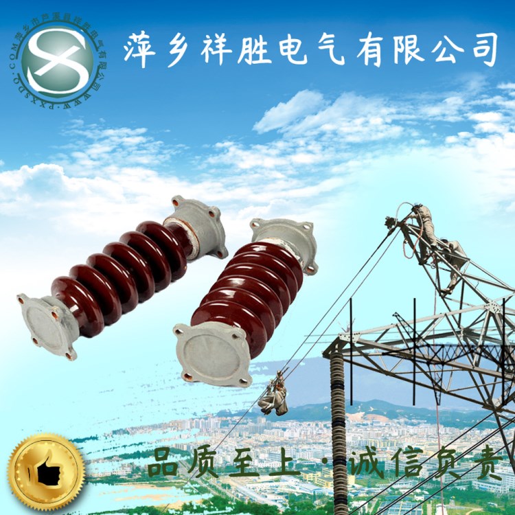 廠家直銷 支柱絕緣子ZS-10/4 電力瓷瓶高壓低壓支柱復合硅橡膠