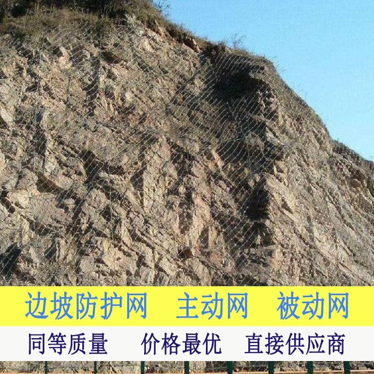 被動(dòng)防護(hù)網(wǎng) 環(huán)形網(wǎng) 各種規(guī)格邊坡防護(hù)網(wǎng)不銹鋼絲繩網(wǎng)