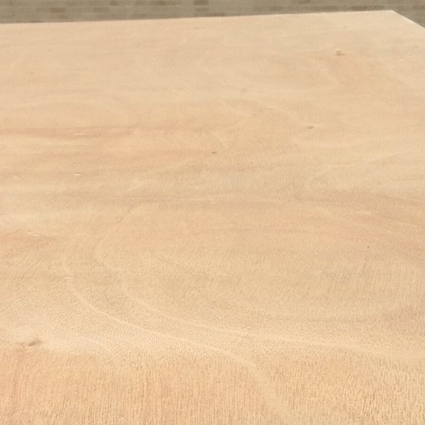 楊木芯夾板 膠合板 包裝板 plywood for packing