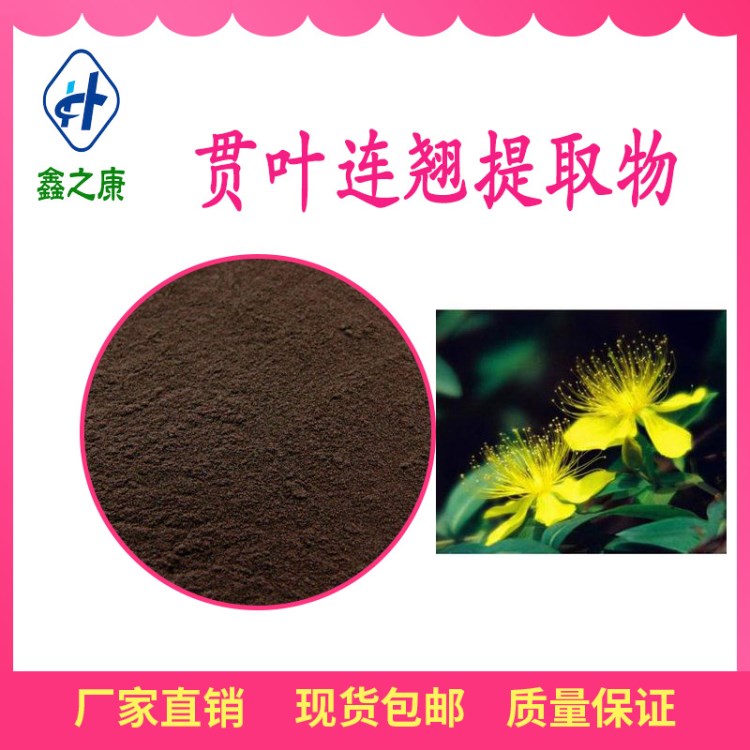 貫葉連翹提取物10：1  廠家直銷(xiāo)  金絲桃素  貫葉連翹粉 包郵