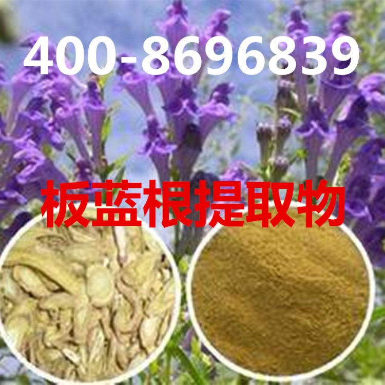 現貨直銷 獸藥添加劑 板藍根提取物 清熱原料 包郵