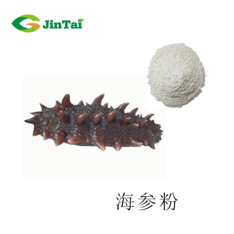 海參粉 海參蛋白粉 海參肽粉 海參提取物 廠家現(xiàn)貨供應(yīng)
