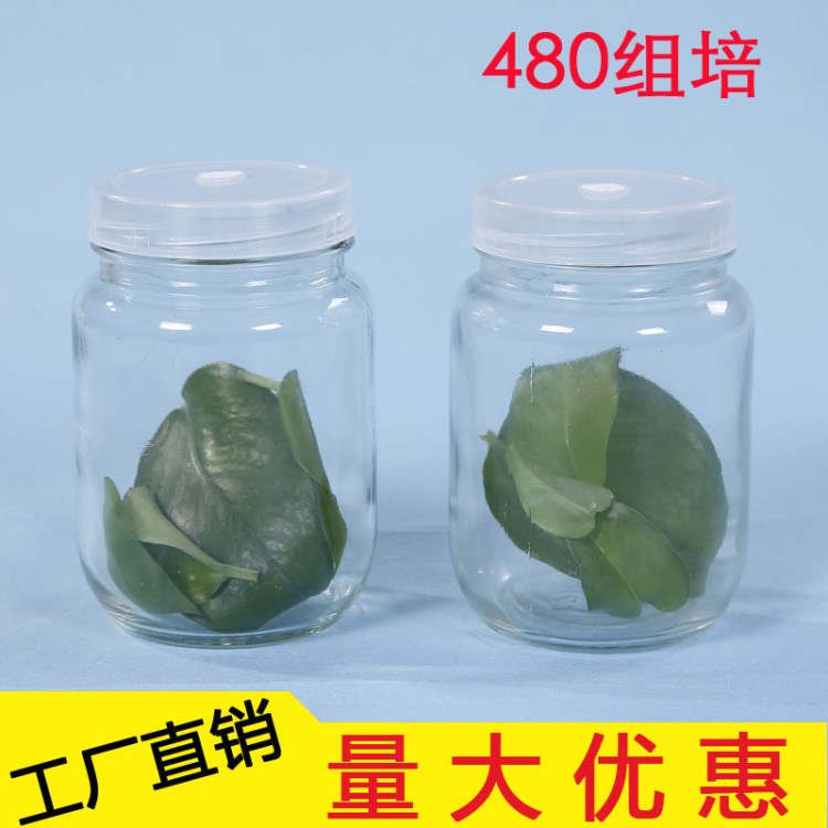 廠家批發(fā)480ML耐高溫玻璃組培瓶蘭花培養(yǎng)瓶 廣口菌苗瓶 廠價(jià)直銷