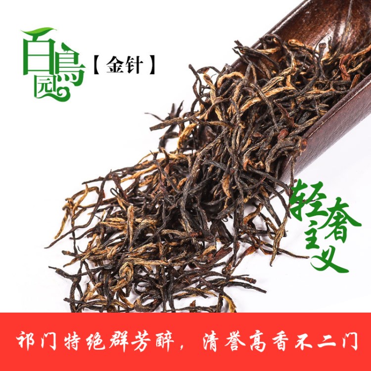 百鳥園茶葉 祁門紅茶散裝批發(fā)  高山茶全手工制作 祁紅毛峰--金針