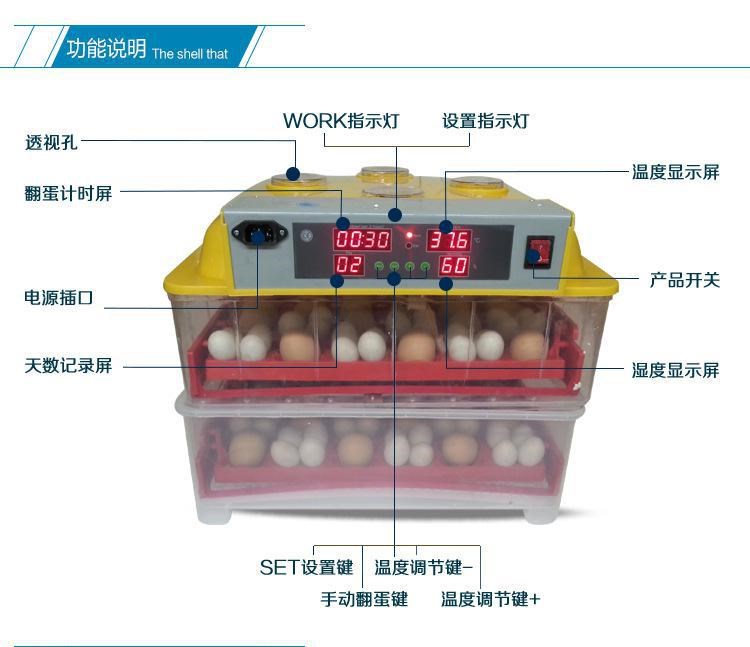 小型qzd雞蛋孵化機 全自動5000枚孵蛋機價格 大型孵化機價格