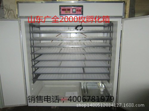 528枚鸡蛋孵化机 全自动大型孵蛋机价格 1000枚鸡蛋孵化箱价格