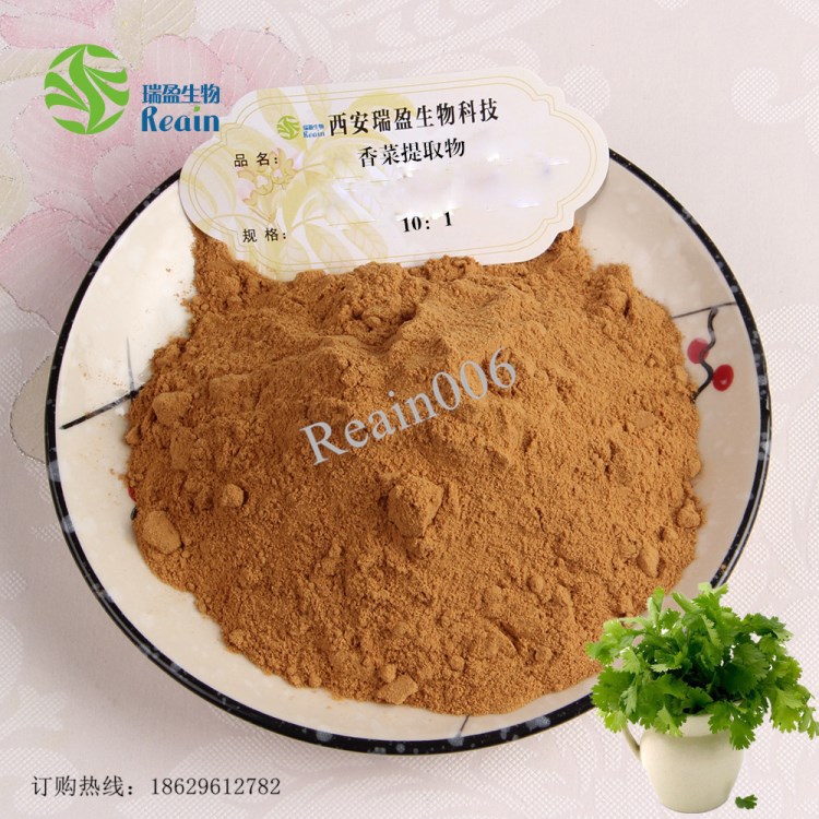 香菜提取物10:1 | 芫荽提取物 瑞盈現(xiàn)貨供應(yīng) 香菜速溶粉 量大優(yōu)惠