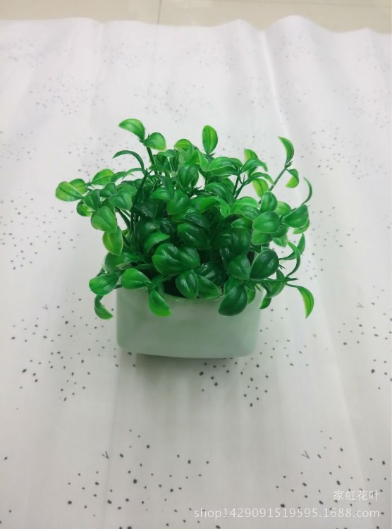 豆芽菜仿真 綠豆芽蔬菜 塑膠花 DIY插花配件 仿真花草植物農作物