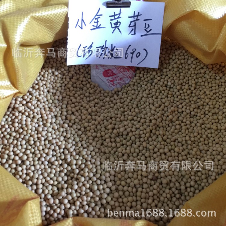 小金黃整包 豆芽專用黃豆東農(nóng)690芽豆特色蔬菜芽苗菜種子種植批發(fā)