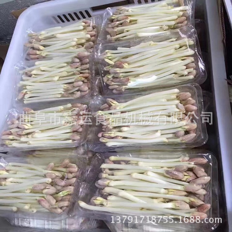 芽苗机 商用黄豆芽机全自动绿豆芽机器