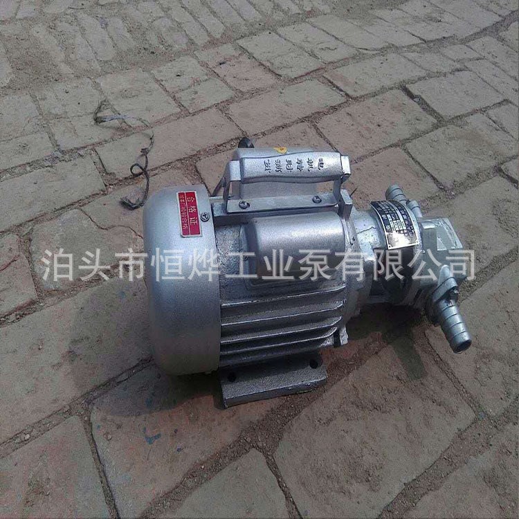 廠家直銷WCB手提式齒輪泵 微型輸油泵現貨供應