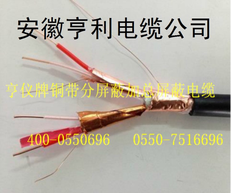 ZA-DJVPVP2R-2*2*1.0【亨儀牌國(guó)標(biāo)銅帶屏蔽電纜】ZC-JVDPVDP2R-B