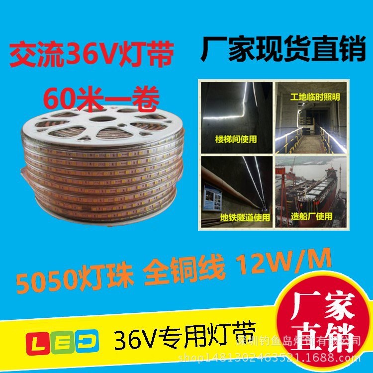 交流低壓led燈帶5050軟燈條低壓36V一米60燈12W高亮PVC防水燈