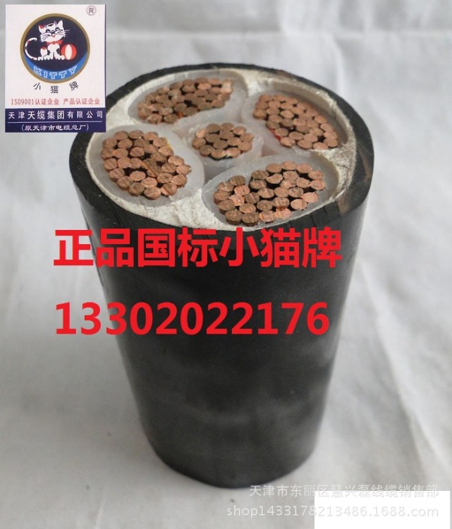 廠家直銷天津國標(biāo)小貓牌ZCYJV-3*185 2阻燃電力電纜