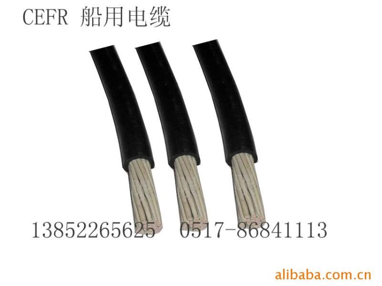供應CEFR  12*2.5船用電纜