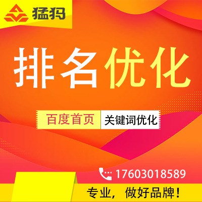 排名優化猛犸品牌營銷策劃首頁營銷搜索引擎優化優化排名