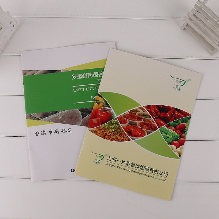 印刷定制批發(fā) A4產(chǎn)品宣傳公司企業(yè)介紹推廣畫冊(cè)圖冊(cè)