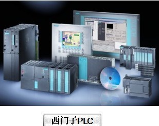 現貨供應 西門子PLC 6ES7313-5BF03-0AB0 攀枝花經銷
