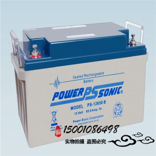 法國(guó)原裝POWER SONIC PDC-12200B蓄電池